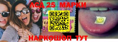 гидропоника Бийск